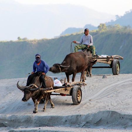 Bognot Lodge : Alvin Bognot Mt Pinatubo Guesthouse And Tours Santa Juliana Extérieur photo