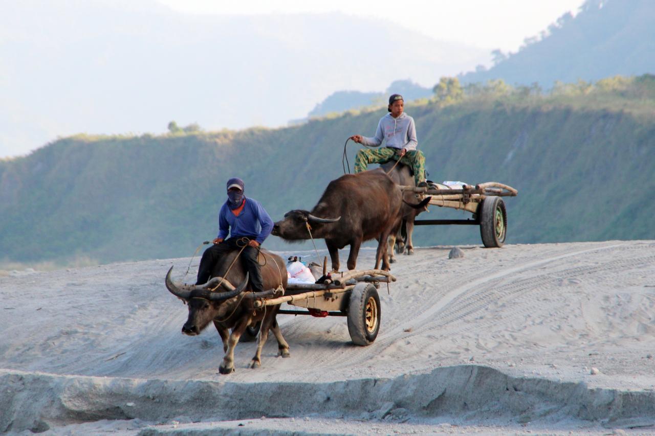 Bognot Lodge : Alvin Bognot Mt Pinatubo Guesthouse And Tours Santa Juliana Extérieur photo